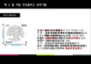 다각화된 기업의 관리 - 사업포트폴리오,BCG매트릭스,기업의다각화성공사례,기업다각화실패사례.ppt 5페이지