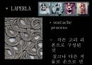 라펠라 (LAPERLA) 라펠라마케팅전략,라펠라분석,명품속옷브랜드,명품속옷마케팅,명품속옷분석.PPT자료 14페이지