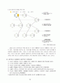 Network마케팅_2013년 9페이지