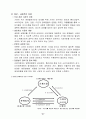 Network마케팅_2013년 21페이지