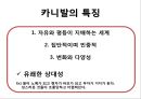 문화사회학과 바흐친,바흐친이론,소쉬르와바흐친,문학사회학 24페이지