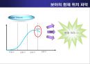 글로벌 마케팅 성공사례 발표 - 아시아의 별 BOA (보아,보아마케팅,보아마케팅전략,보아성공전략,연예인마케팅,스타마케팅).PPT자료 22페이지