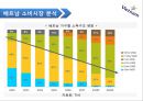 베트남나라분석,나라분석,롯데마트 베트남진출,롯데마트해외진출사례,롯데마트베트남진출사례 10페이지