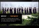 북한탈북자,탈북자현황및지원정책,탈북자원인및과정,탈북자가 한국사회에서 겪는어려움 4페이지