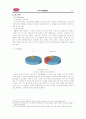 빕스마케팅전략,빕스마케팅,VIPS마케팅전략,VIPS분석,CJ푸드빌 10페이지