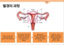 성심리와 성건강 임신과 분만,출산율,월경,임신,육아,태교 6페이지