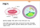 성심리와 성건강 임신과 분만,출산율,월경,임신,육아,태교 7페이지