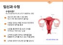 성심리와 성건강 임신과 분만,출산율,월경,임신,육아,태교 12페이지