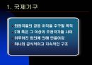 국제기구의 종류와 역할  3페이지