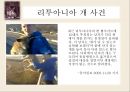 동물 SOS - 동물학대의 원인 및 해결방안.ppt 3페이지