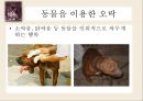 동물 SOS - 동물학대의 원인 및 해결방안.ppt 10페이지