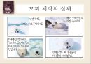 동물 SOS - 동물학대의 원인 및 해결방안.ppt 14페이지