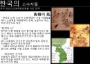 소수자,역사속의소수자,동성애자,매춘여성,한국소수자,지적소수자 12페이지