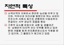 도시기본계획  20페이지