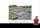 일본 고대 도성에 관하여 - 일본의고대도성,울륭체제정비,헤이안시대의도성,나라시대의도성,나리시대이전의도성,도성.PPT자료 8페이지