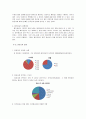 제주항공,항공사전략,저가항공,마케팅,브랜드,브랜드마케팅,기업,서비스마케팅,글로벌,경영,시장,사례,swot,stp,4p 6페이지