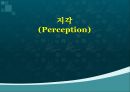 지각(Perception),지각이관광자행동에미치는영향,지각마케팅,지각마케팅사례 1페이지