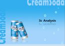 크리미 소다 Creamy Re- Naming (코카콜라,사이다,음료시장,마케팅전략,마케팅,브랜드,브랜드마케팅,기업,서비스마케팅,글로벌,경영,시장,사례,swot,stp,4p).PPT자료 11페이지