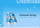 크리미 소다 Creamy Re- Naming (코카콜라,사이다,음료시장,마케팅전략,마케팅,브랜드,브랜드마케팅,기업,서비스마케팅,글로벌,경영,시장,사례,swot,stp,4p).PPT자료 43페이지