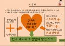 현 테마파크 분석을 통한 새로운 테마파크 모델 제시 - 한국형 전래동화 테마파크 기획 (테마파크분석,한국형전래동화테마파크,에버랜드,롯데월드,디즈니랜드.닛코에도무라.파크아스테릭스,한국민속촌).PPT자료 26페이지