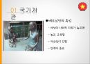 해외투자론,베트남정치경제현황,베트남경제정책,베트남투자유치제도 7페이지