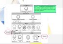 암과힐링스토리 (2)건강기능식품의 기능.ppt 11페이지