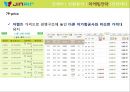 진에어 JINAIR 마케팅전략분석과 진에어의 저가항공사로서의 전략방안 제안 16페이지