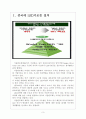 [서울반도체경영전략]서울반도체 해외시장 진출전략 보고서 3페이지