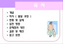 시각 장애인 복지  2페이지