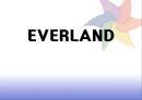 에버랜드 서비스 마케팅 사례 (EVERLAND).PPT자료 1페이지