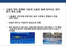한국 경제의 문제점 및 발전 전략 18페이지