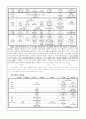 편성전략 5페이지