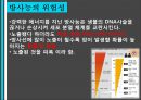 원전-르네상스시대의 대위기 8페이지