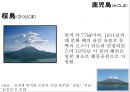 큐수지방 40페이지