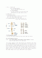 삼과골절 레포트 3페이지