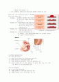 case_KGCC 위암(Stomach Cancer) 3페이지