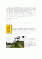 현대소설 교육의 실제 - 윤흥길 『장마』-  5페이지