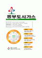 [중부도시가스-경영부문최신공채합격자기소개서]중부도시가스자기소개서자소서,중부도시가스자소서자기소개서,자소서,아산합격자기소개서,합격자소서,중부도시가스 6페이지