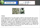 ♥ 복리후생제도 사례 ♥.ppt 19페이지