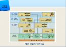 [해양생명공학개론] 해양생물 종 다양성 기술.PPT자료 22페이지
