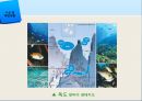 [해양생명공학개론] 해양생물 종 다양성 기술.PPT자료 23페이지