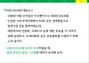 브라질(Brazil), 현지 법인의 경영성과 측정 - 국내기업의 브라질 FDI 사례,현지 법인의 경영성과 측정,브라질 경제 체제의 변천사,환위험,환위험유형,환위험대처방안.PPT자료 18페이지