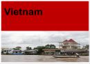 글로벌비지니스에티켓_베트남시장,베트남 진출성공사례,브랜드마케팅,서비스마케팅,글로벌경영,사례분석,swot,stp,4p 1페이지