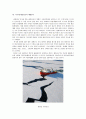 북극해 항로 NSR(Northern Sea Route)의 현황과 전망 6페이지
