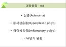 대장내시경에서 발견되는 소견 (대장 용종 및 대장암, 기타 소견).ppt 24페이지