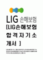 [LIG손해보험-리스크매니져합격자기소개서]LIG손해보험자기소개서자소서,LIG손해보험자소서자기소개서,LIG자소서,엘아이지합격자기소개서,LIG손해보험,리스크매니저 1페이지