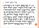 [오로라월드 기업분석] 오로라월드 성공요인분석.PPT자료 4페이지