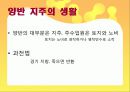 [학습지도안] Ⅳ경제 구조와 경제 생활  3페이지