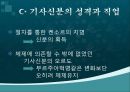 로마 공화정기 기사신분의 사회이동 11페이지