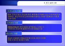 다국적 광고의 국제적 유통  20페이지